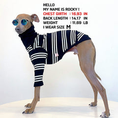Doggystar Italian Greyhound clothes Ivory Stripe side view showing slim silhouette for movement.