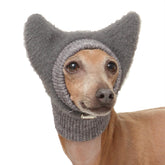 D Doggy Star Italian Greyhound Hat on dog keeps ears warm during cold walks.