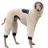 Doggystar Italian Greyhound sweater on iggy showing navy turtleneck coat for winter walks