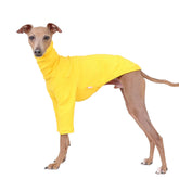 doggystar Italian Greyhound T-Shirt front view showing easy on-off fit