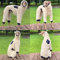 Doggystar long back warm coat on iggy providing full coverage and mobility