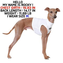 Doggystar close-up shows breathable fabric for lightweight airflow during walks.