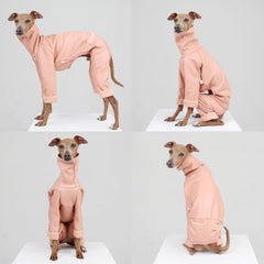 Doggystar turtleneck long back coat on iggy shows sleek silhouette