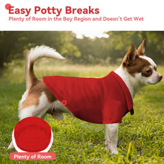 Doggyzstyle polo shirt in green on a small dog highlighting a cute playful look
