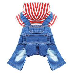 DOGGYZSTYLE denim jumpsuit hoodie on a small pet for daily wear