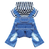 DOGGYZSTYLE small dog hoodie stripe shirt image for stylish daily wear.