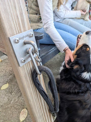 Doghook Canine Hitch stainless steel detail emphasizes durability for indoor and outdoor use.