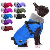 Doglay dog coat harness back view shows integrated safety on walks