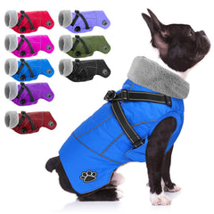 Doglay dog coat harness back view shows integrated safety on walks