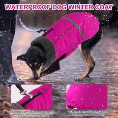 Doglay coat close-up shows thick furry collar for extra warmth.