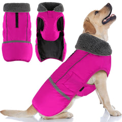 Doglay waterproof dog coat back view with reflective stripes boosts nighttime visibility.