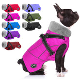 Doglay dog coat with harness for secure fit during walks.