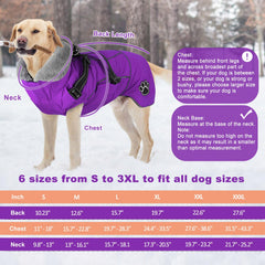 Doglay dog jacket harness built-in front shows integrated safety on walks.