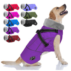 Doglay dog jacket waterproof back view demonstrates rain protection and durable shell.