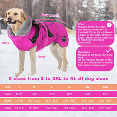 Doglay reflective stripes keep your dog visible at night.