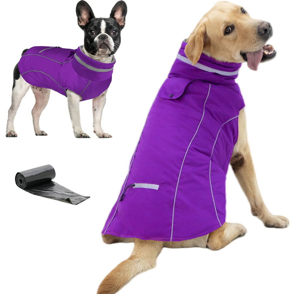 Doglay waterproof dog coat with pocket and reflective details for safe, convenient walks.