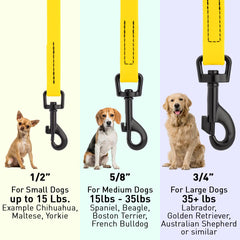 Dogline Biothane leash swivel clip preventing twisting during walks