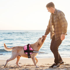 Dogline harness breathable neoprene material for comfort