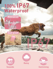 DOGLinsen 2800ft-range remote enables indoor or outdoor control.
