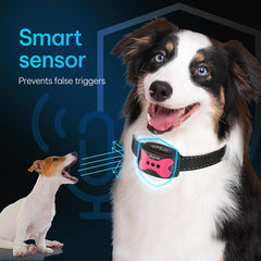 DogRook customizable vibration and sound display featuring two vibration modes and seven sound levels
