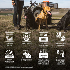 Dogtra 1902S two-dog training with HANDSFREE expansion for synchronized commands.