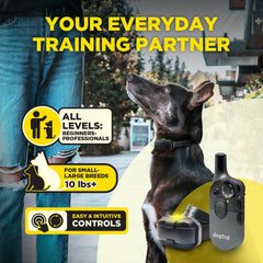 Dogtra 200iQ remote in hand: easy one-handed control during everyday obedience sessions.