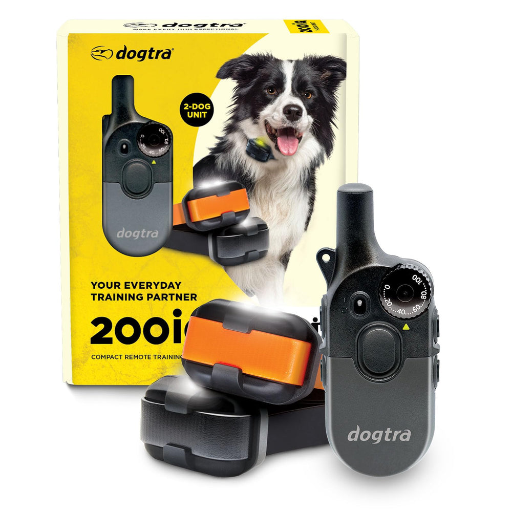 Dogtra 200iQ two-dog system: compact receivers for balanced dual-dog training.
