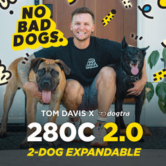 Dogtra Boost and Safety Lock keep training levels safe and stable