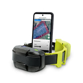 Dogtra GPS Fence collar on a dog for safe outdoor roaming.