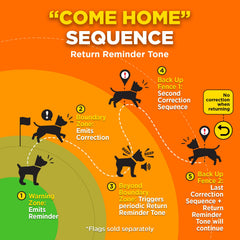 Dogtra GPS Fence collar emitting return tone to guide dog home.