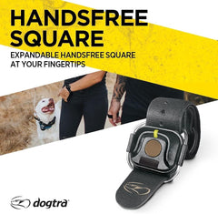 Dogtra HANDSFREE Square pairing setup enables seamless multi-square operation with a single transmitter.
