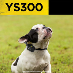 Dogtra YS300 waterproof rechargeable battery ready for rain or play.