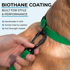 DogTraxs biothane leash with self-locking swivel carabiner for secure attachment