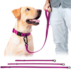 DogTraxs essential Biothane Leash 3 ft training lead enables close control during sessions.