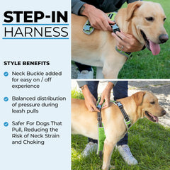 DogTraxs no-pull design keeps pressure off the neck