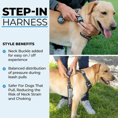 DogTraxs Step in Harness adjustable straps provide a snug, customizable fit for active dogs.