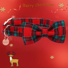 DOGWONG cotton dog collar closeup; showcasing durable hardware for everyday wear.