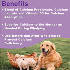 Dogzymes Canine Whelping Calcium Paste label highlights ingredients supporting calcium absorption.