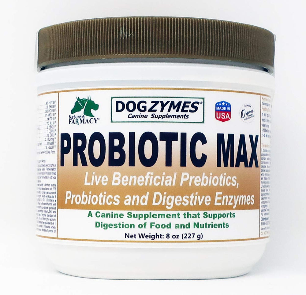 Dogzymes Probiotic Max bottle-front showing jar size and digestive-supporting formula