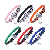 Dokitag 6-pack cat collar with breakaway QR-code buckle in pink for quick identity access.