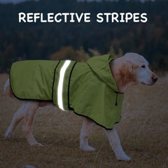 Dolitego dog raincoat with harness hole design for easy leash use.