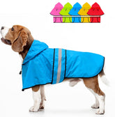 Dolitego fashion hooded dog raincoat blue, front view, lightweight waterproof protection
