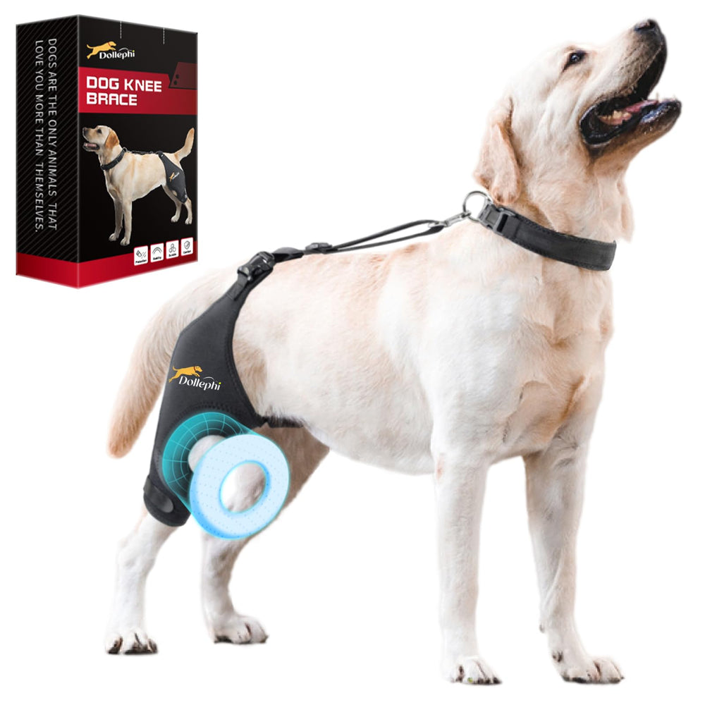 Dollephi dog knee brace right leg XL provides secure fit for daily walks and patellar stability.