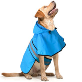 Domagiker dog raincoat hood on a rainy walk provides shelter from drizzle