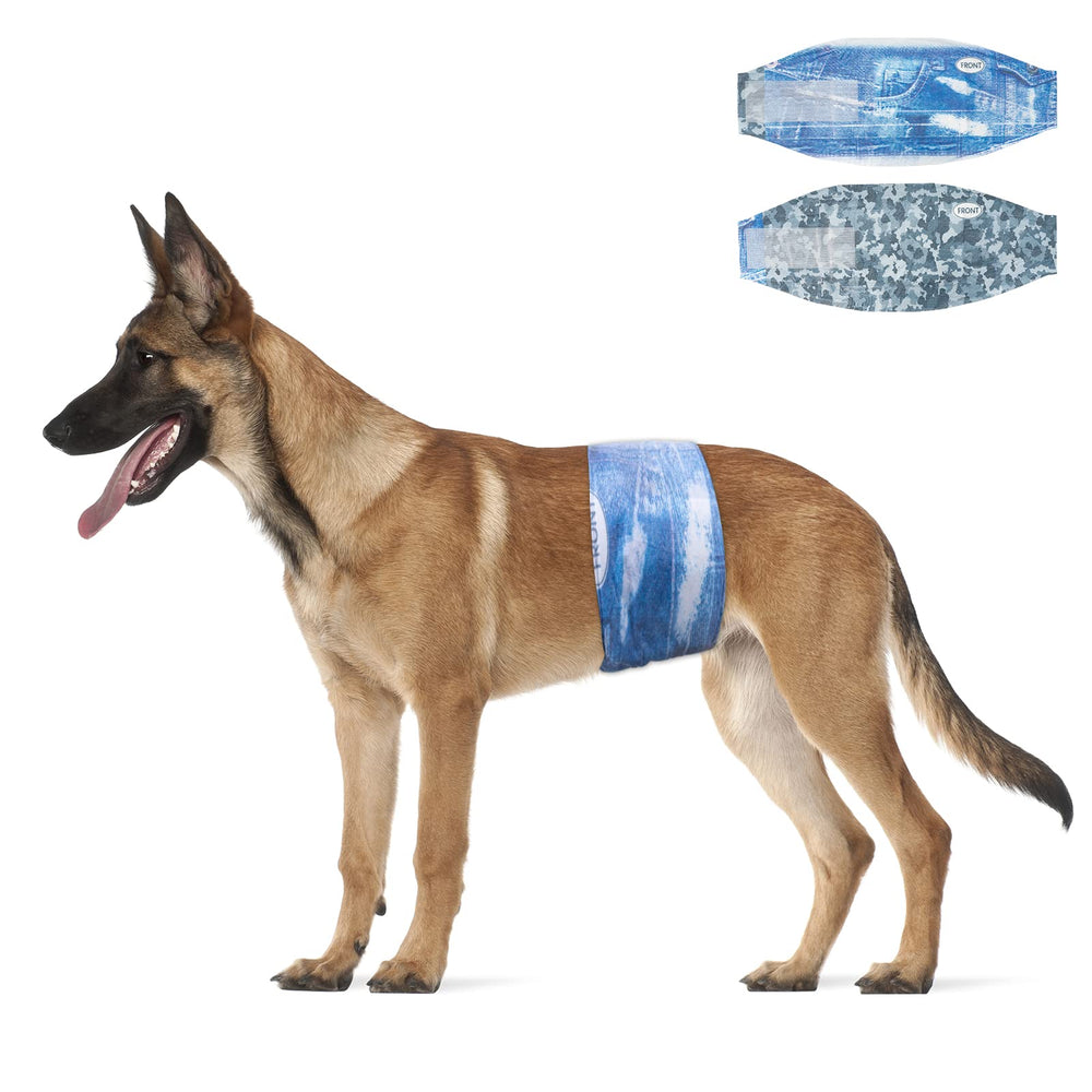 Dono dog diapers package design highlights stylish, leak-resistant wrap for male dogs.