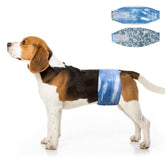 Dono dog diapers packaging pattern highlights stylish, leak-proof design for easy use.