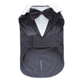 DOTEYAYP Puppy Tuxedo front view in grey, ideal for formal dog events.