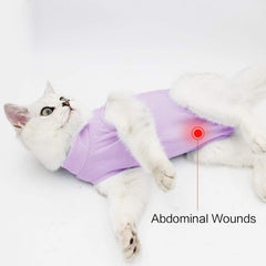 DOTON Cat Recovery Suit soft fabric supports warm comfort during recovery.