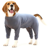Dotoner dog recovery suit abdominal wound shields surgical sites for safer post-op comfort.