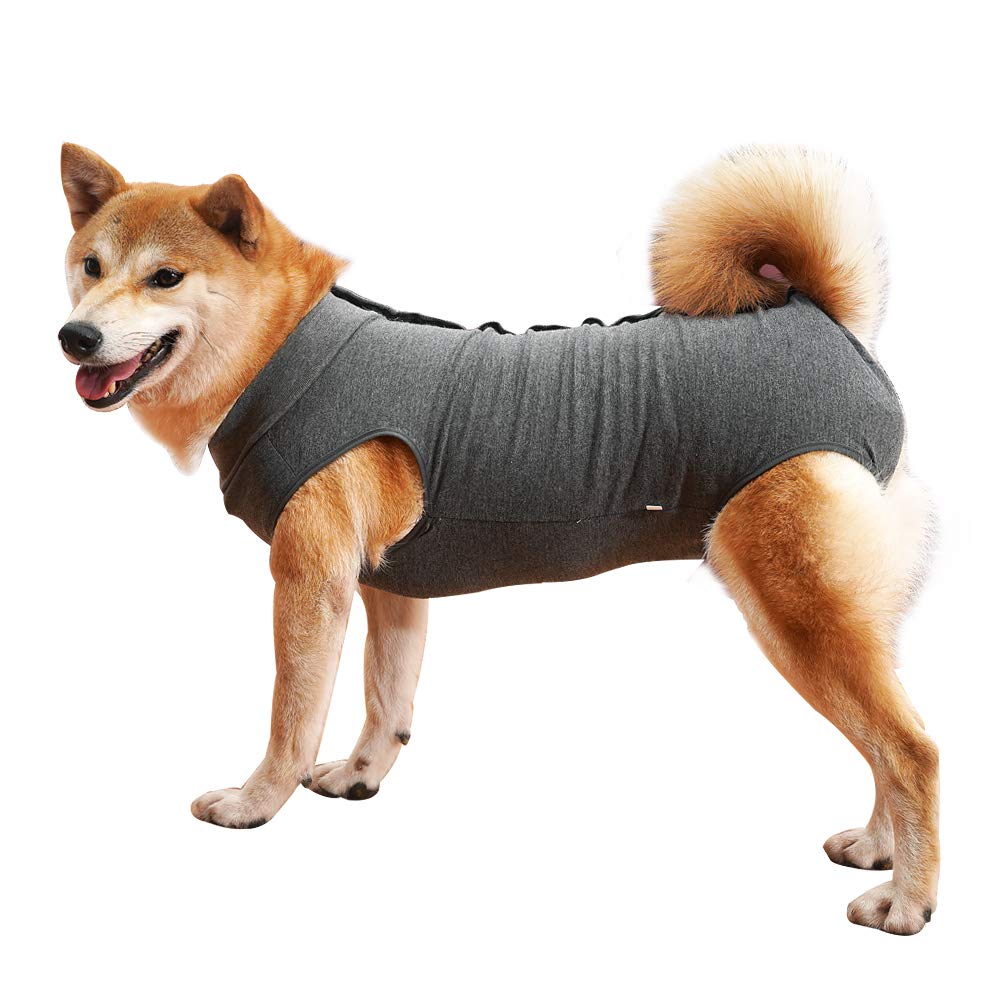 Dotoner dog recovery suit XL grey front view for post-op protection and comfort